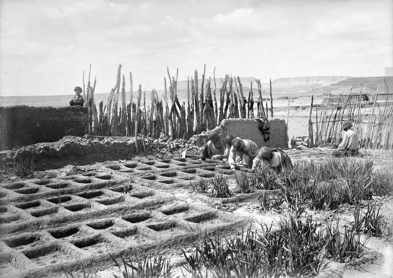 waffle-gardens-at-zuni-pueblo-in-new-mexico-circa-1910-1925